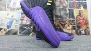 Air Jordan 12 Retro MEN'S  'Field Purple' CT8013-057