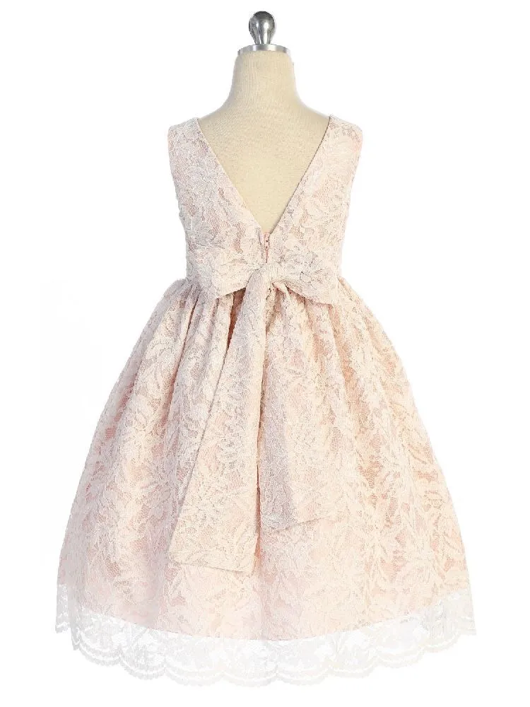 Big Girls Blush Lace Thick Pearl Trim Plus Size Dress, Sizes 16.5-20.5